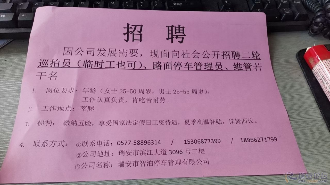 遂溪最新招聘臨時(shí)工信息及其相關(guān)概述，遂溪最新臨時(shí)工招聘信息概覽