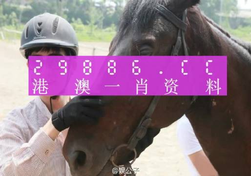 澳門(mén)一肖一碼一必中一肖：從入門(mén)到精通的完整指南