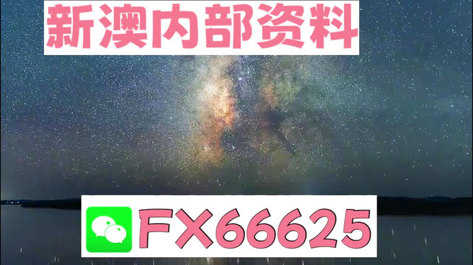 新澳天天彩正版免費資料,動態(tài)解析詞匯_KP26.304