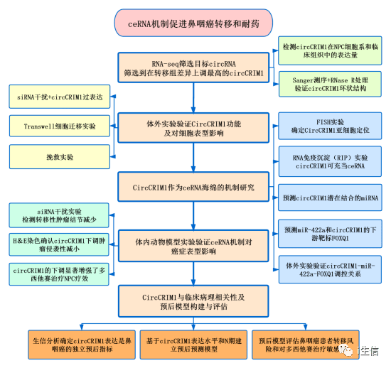 新奧精準(zhǔn)資料免費(fèi)提供綜合版,完整機(jī)制評估_yShop44.684