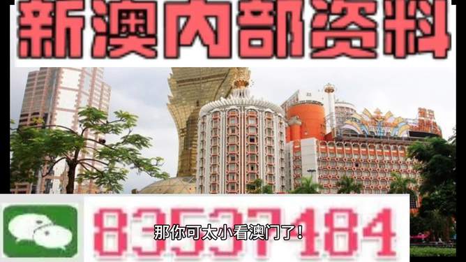 澳門內(nèi)部資料精準(zhǔn)大全2023——警惕違法犯罪風(fēng)險，澳門內(nèi)部資料精準(zhǔn)大全背后的風(fēng)險，警惕違法犯罪威脅 2023年警惕篇