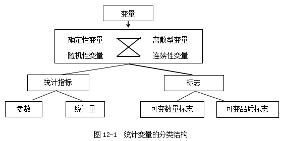 澳門江左梅郎免費(fèi)資料,統(tǒng)計分析解釋定義_SHD55.618