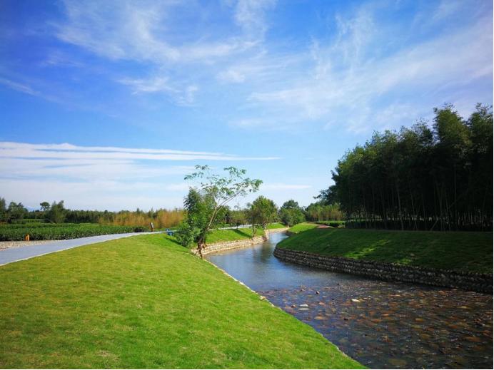 熊貓公園的最新消息，探索自然與文化的融合之旅，熊貓公園最新動態(tài)，自然與文化融合之旅探索