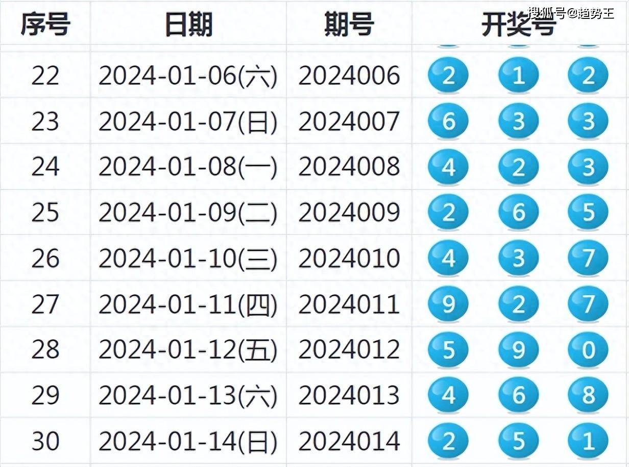 2024新奧彩開獎結果記錄,實地調研解釋定義_tShop12.526