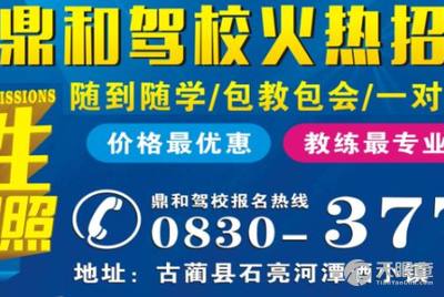 龍崗坑梓最新招聘司機(jī)信息，探索職業(yè)發(fā)展的無(wú)限可能，龍崗坑梓最新司機(jī)招聘信息，職業(yè)發(fā)展的無(wú)限機(jī)遇探索