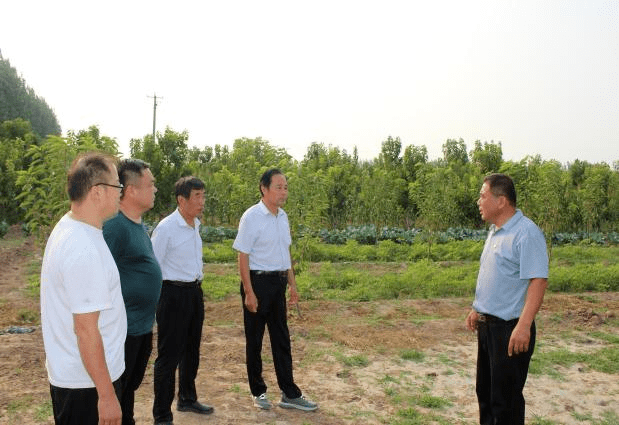 館陶合作社最新消息，推動(dòng)農(nóng)業(yè)現(xiàn)代化與地方經(jīng)濟(jì)繁榮的新動(dòng)力，館陶合作社最新動(dòng)態(tài)，推動(dòng)農(nóng)業(yè)現(xiàn)代化與地方經(jīng)濟(jì)繁榮的新引擎