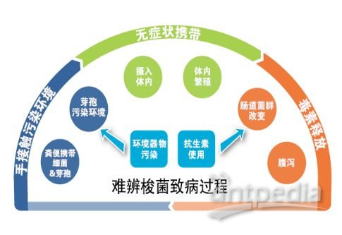 糞菌移植最新進(jìn)展及其應(yīng)用前景，糞菌移植最新進(jìn)展及臨床應(yīng)用前景展望