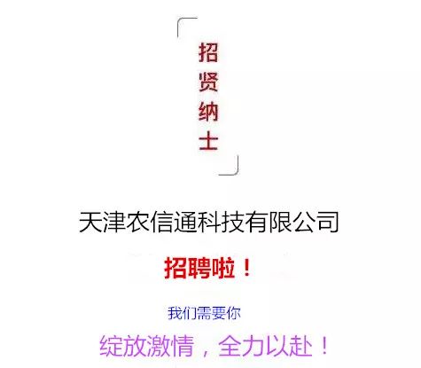 天津薊縣招聘網(wǎng)最新招聘，探索職業(yè)發(fā)展的黃金機會，天津薊縣最新招聘網(wǎng)，探索職業(yè)發(fā)展黃金機會