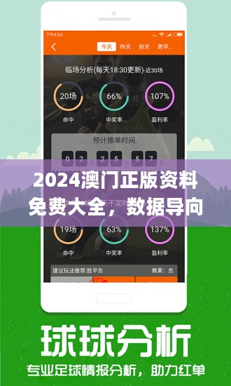 2024澳門正版精準免費大全,權(quán)威分析解釋定義_V版29.297