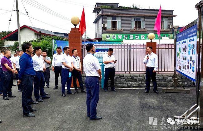 四川夾江新聞最新消息概覽，四川夾江新聞最新消息概覽，多領域動態(tài)一網(wǎng)打盡