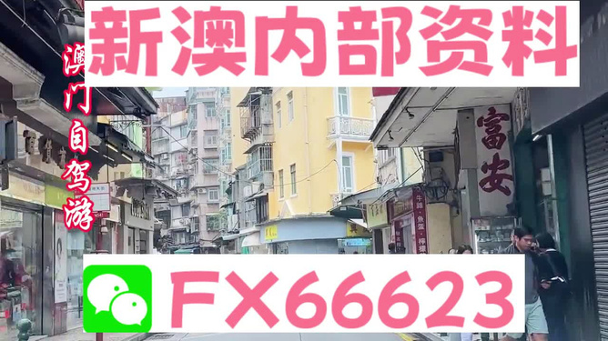 新奧精準(zhǔn)免費(fèi)資料提供，探索與啟示，新奧精準(zhǔn)免費(fèi)資料探索，啟示與分享