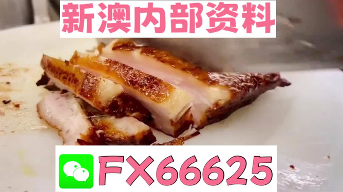 新奧長(zhǎng)期免費(fèi)資料大全，探索與啟示，新奧長(zhǎng)期免費(fèi)資料大全，深度探索與啟示