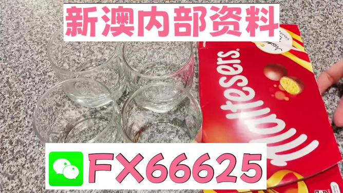 澳門正版資料免費大全新聞——警惕違法犯罪風(fēng)險，澳門正版資料免費大全新聞需警惕潛在違法犯罪風(fēng)險