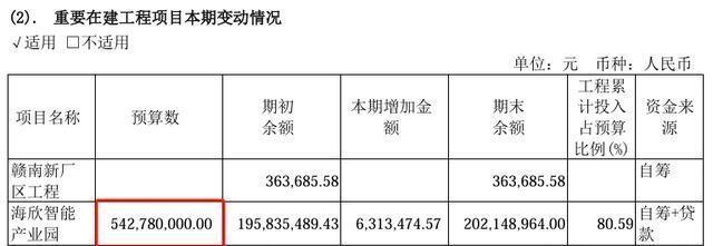 海欣股份目標(biāo)價(jià)30元的投資邏輯與市場(chǎng)展望，海欣股份目標(biāo)價(jià)30元，投資邏輯與市場(chǎng)展望分析