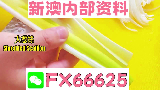 澳門正版資料免費(fèi)大全新聞，揭露違法犯罪問題，澳門正版資料揭露違法犯罪問題，免費(fèi)新聞大全揭示真相