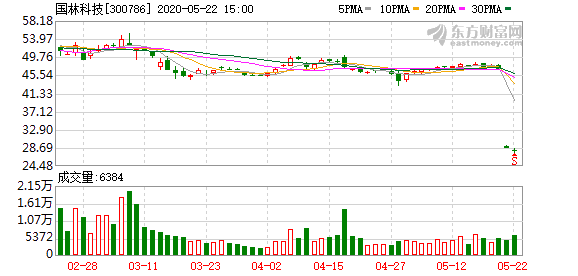 國(guó)林科技，引領(lǐng)行業(yè)創(chuàng)新，塑造科技未來，國(guó)林科技，行業(yè)創(chuàng)新先鋒，塑造科技未來之路