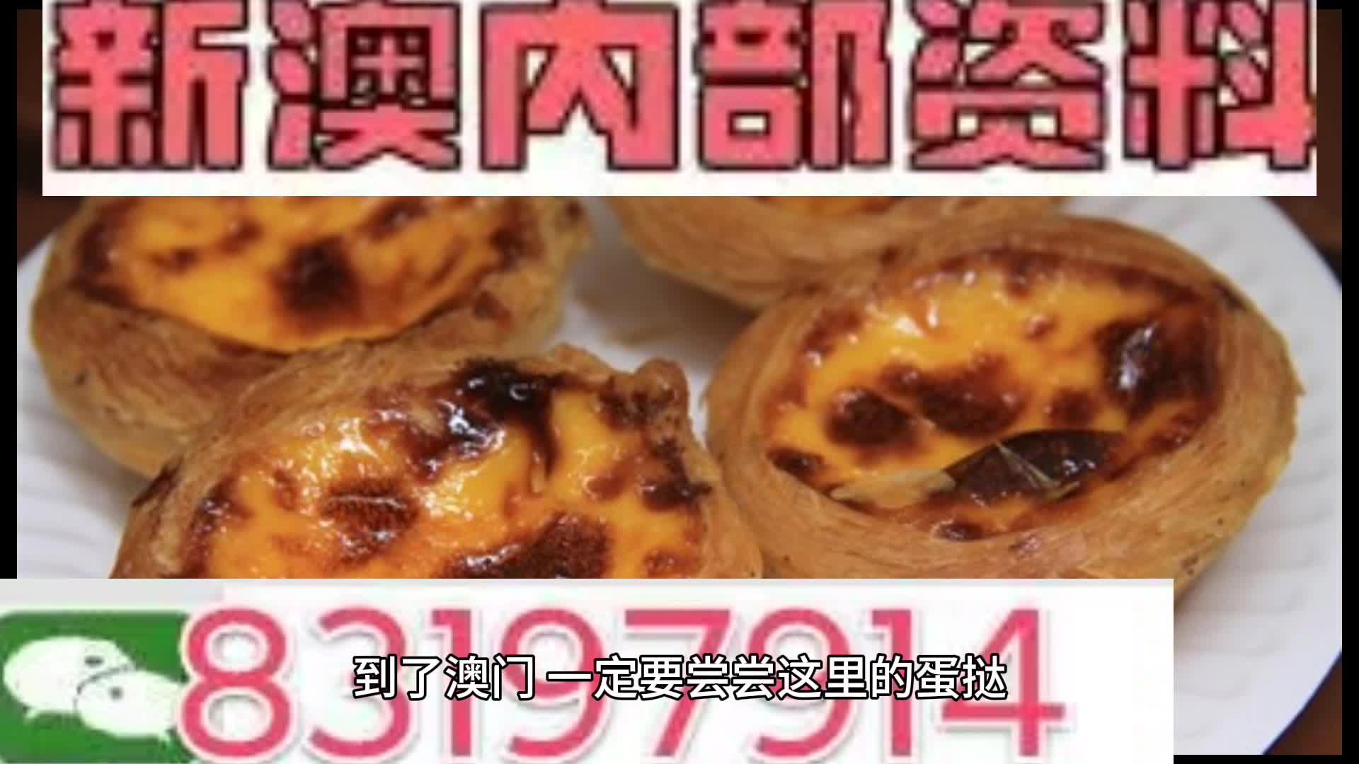 探索未來(lái)，2024年新奧梅特免費(fèi)資料大全，探索未來(lái)，2024年新奧梅特免費(fèi)資料大全全解析