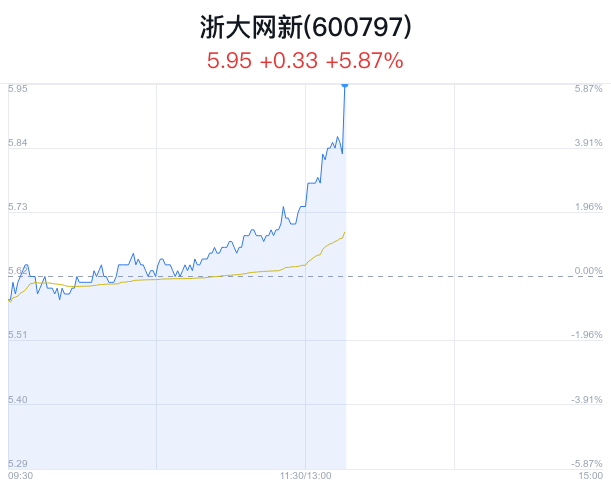 浙大網(wǎng)新股價(jià)上漲2.99%，解析背后的因素與前景展望，浙大網(wǎng)新股價(jià)上漲2.99%，因素解析與未來前景展望