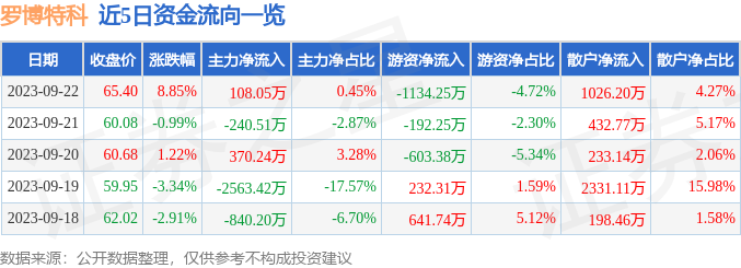 羅博特科，未來能否成為十倍牛股？，羅博特科，未來能否成為十倍增長潛力股？