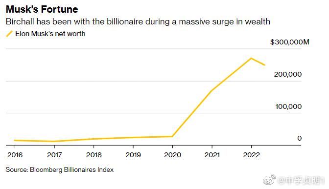 馬斯克財(cái)富增長(zhǎng)1190億美元，探索新財(cái)富時(shí)代的引領(lǐng)者，馬斯克引領(lǐng)新財(cái)富時(shí)代，財(cái)富增長(zhǎng)達(dá)1190億美元