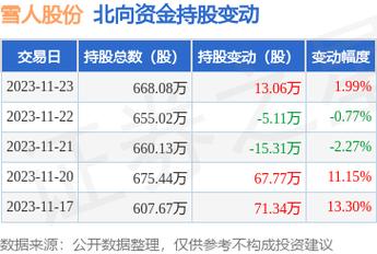 雪人股份目標(biāo)價(jià)2024年，深度分析與展望，雪人股份2024年目標(biāo)價(jià)深度分析與展望