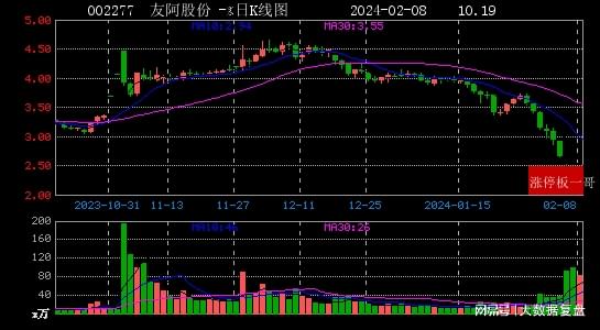 澳門 第892頁