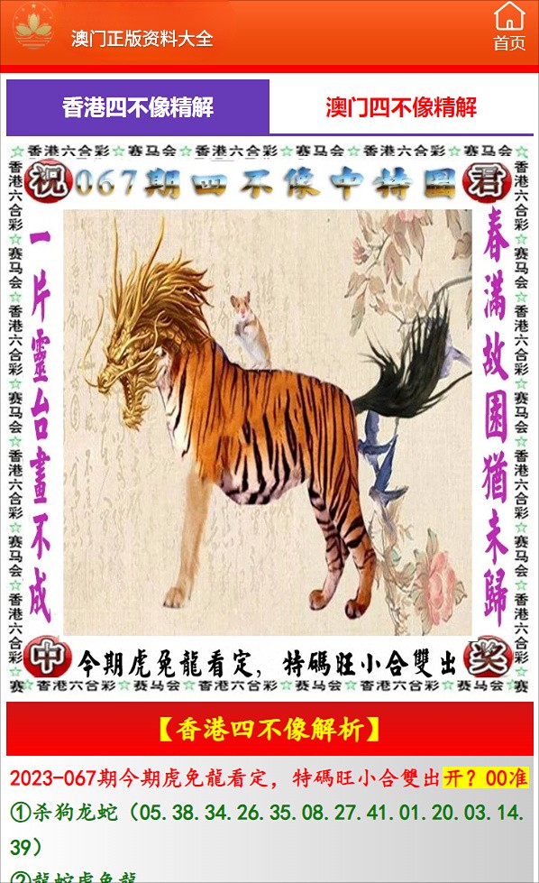 澳門老鼠報，追求最快資訊，傳遞實時動態(tài)，澳門老鼠報，追求實時資訊，傳遞最新動態(tài)