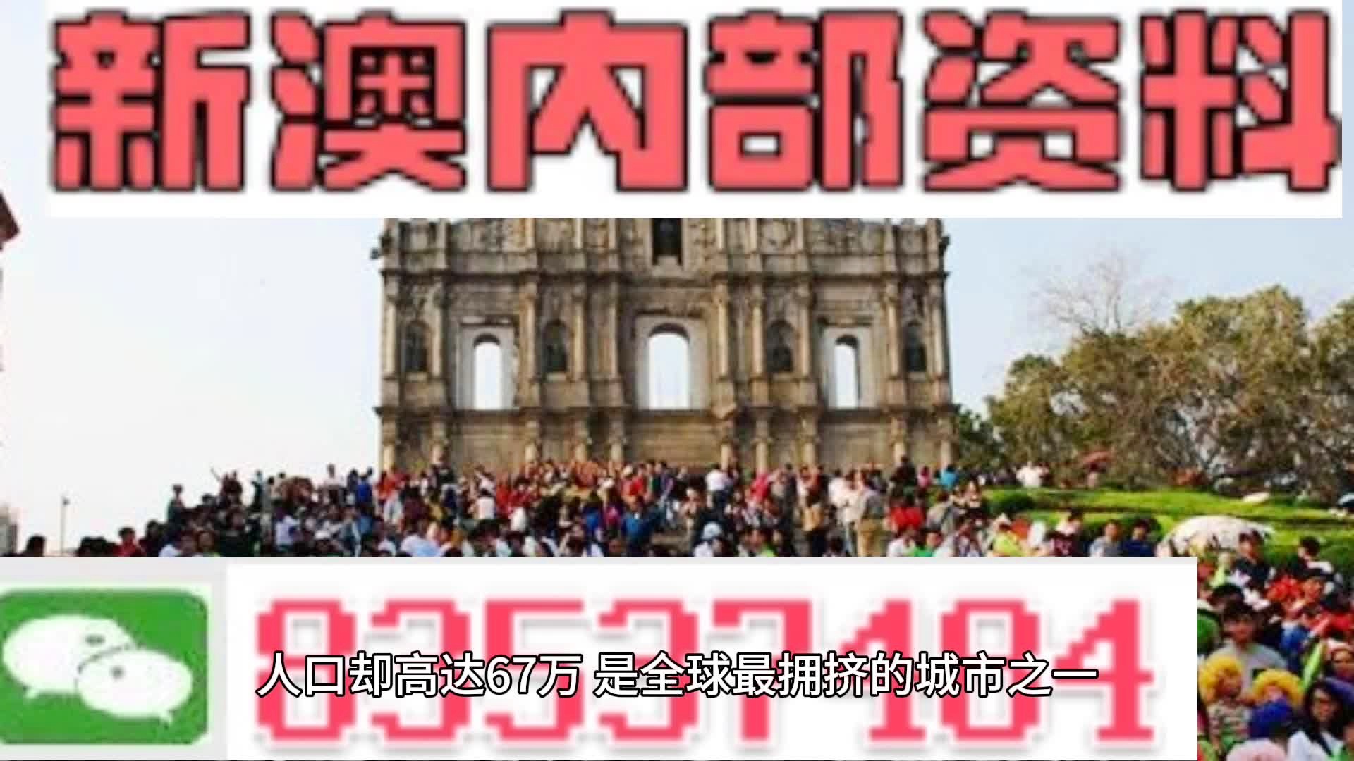 新澳門免費全年資料查詢，探索與解析，澳門免費資料查詢的風險與解析，犯罪行為的警示探究