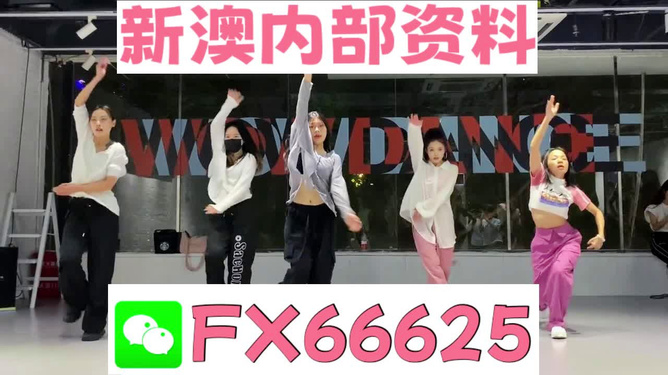 2024年新奧天天精準(zhǔn)資料大全詳解，2024年新奧天天精準(zhǔn)資料大全詳解手冊(cè)