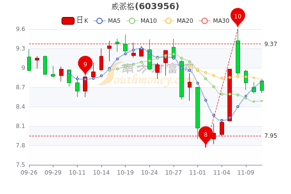 威派格9.88%最新消息全面解析，威派格最新動態(tài)解析，9.88%消息一覽無余