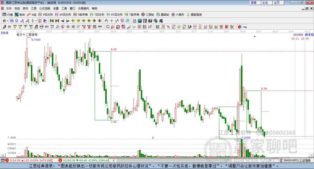 威派格股吧，探索企業(yè)潛力與機遇的舞臺，威派格股吧，企業(yè)潛力與機遇的探索舞臺