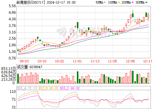 嶺南股份的麻煩事，挑戰(zhàn)與機(jī)遇并存，嶺南股份面臨挑戰(zhàn)與機(jī)遇并存的發(fā)展局面