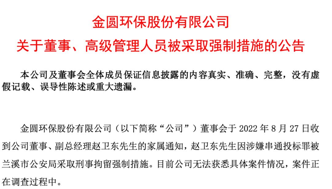 實(shí)控人被刑拘背后的股票大漲現(xiàn)象深度解析，實(shí)控人被刑拘背后的股票大漲現(xiàn)象揭秘