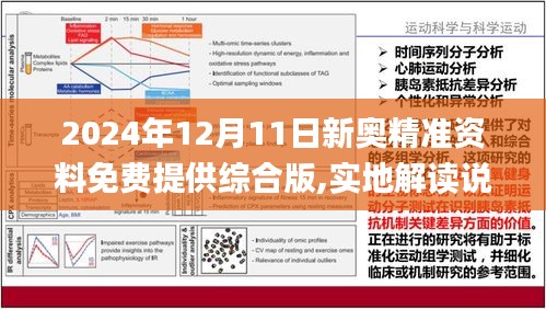 2024新奧資料免費精準(zhǔn)071,最新方案解答_S44.168