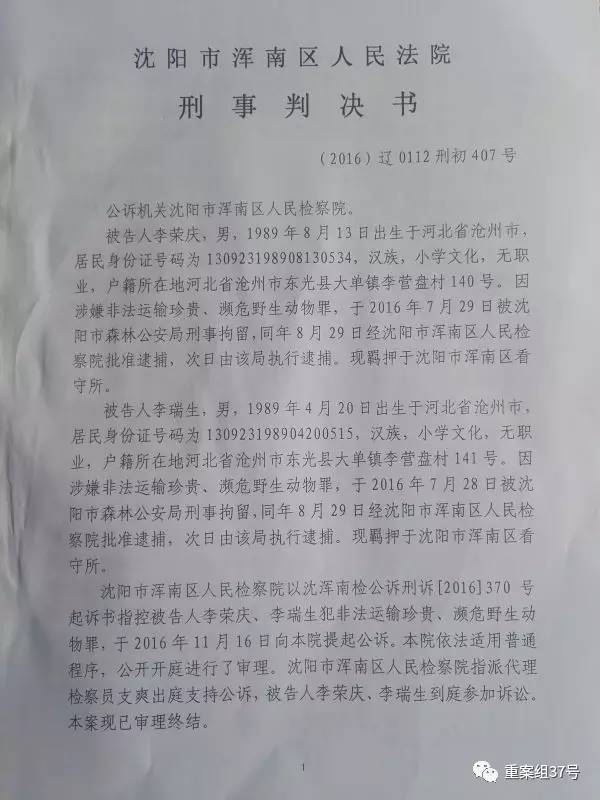 渾南地區(qū)最新判刑情況分析，渾南地區(qū)最新判刑情況深度解析