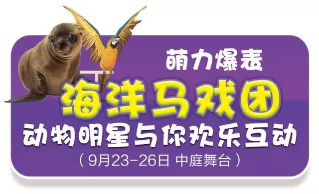 新澳門天天開獎(jiǎng)資料大全與違法犯罪問(wèn)題，澳門彩票資料與違法犯罪問(wèn)題探討