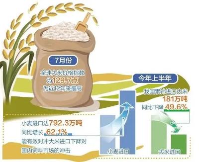 泰國大米價格下跌1-3%，市場趨勢、影響因素及未來展望，泰國大米價格下滑趨勢分析，市場趨勢、影響因素及未來展望