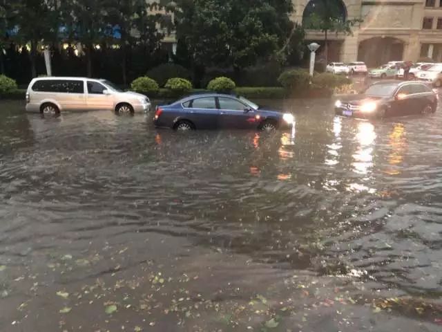 青島大暴雨最新情況報(bào)告，青島大暴雨最新情況報(bào)告，暴雨影響及應(yīng)對(duì)措施分析