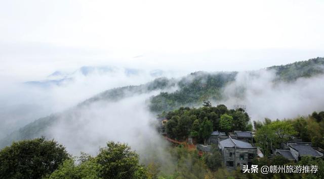 最新云想山，自然之美與科技之力的完美結(jié)合，云想山，自然與科技完美交融之美