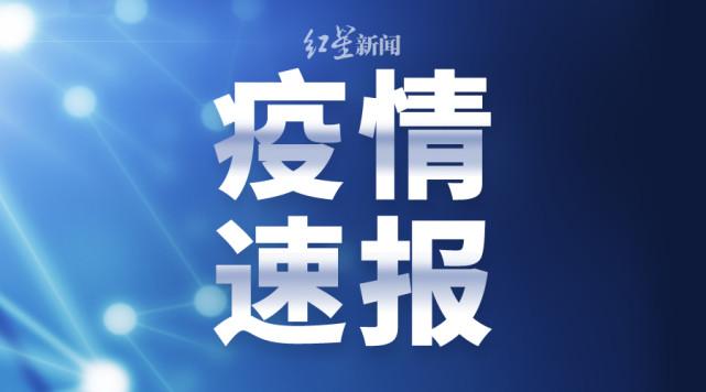 湖南最新肺炎確診情況分析，湖南最新肺炎疫情確診情況分析