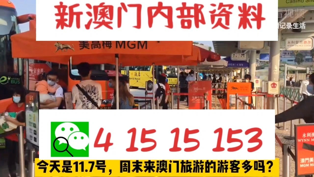 警惕新澳門一肖一碼中特的潛在風險——遠離賭博犯罪，警惕新澳門一肖一碼中特，遠離賭博犯罪風險