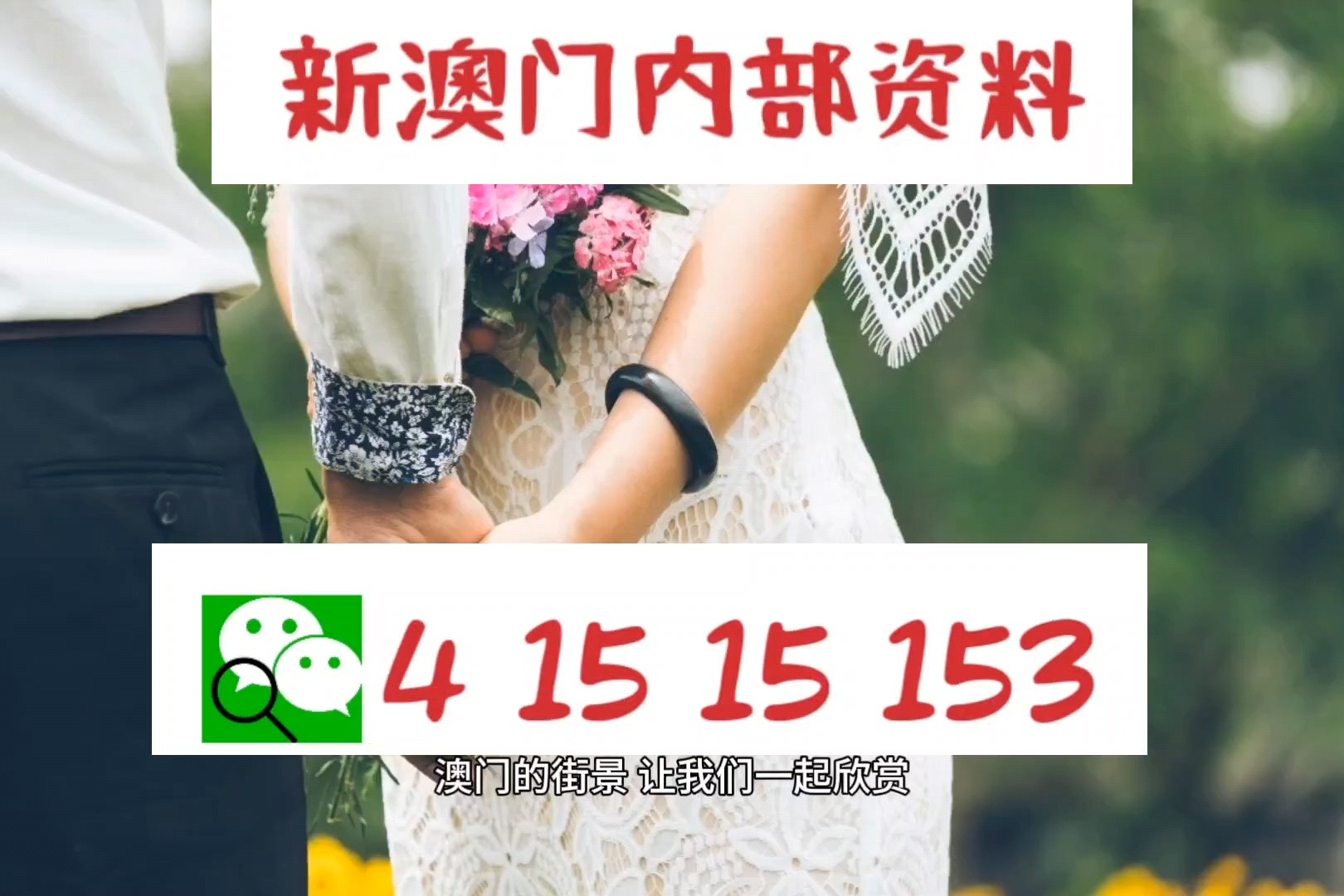 澳門正版資料免費大全新聞——揭示違法犯罪問題的重要性，澳門正版資料免費大全新聞，揭示違法犯罪問題的重要性與影響