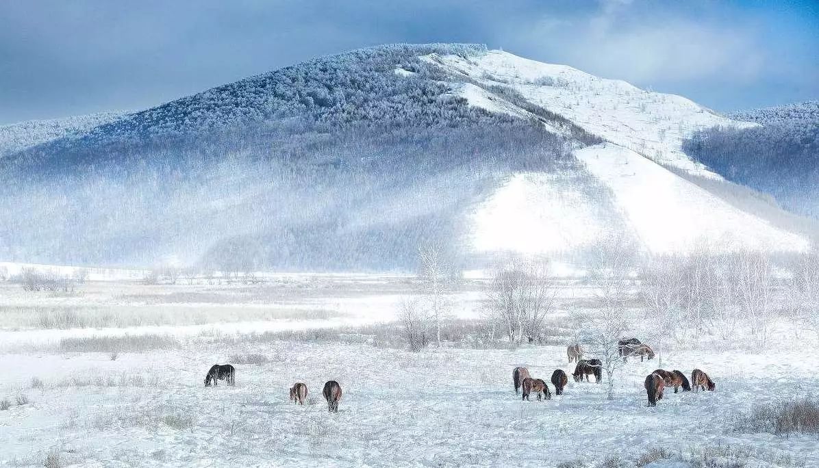 國內(nèi)哪里雪景最美——探尋中國最美的雪景勝地，中國最美的雪景勝地探尋之旅