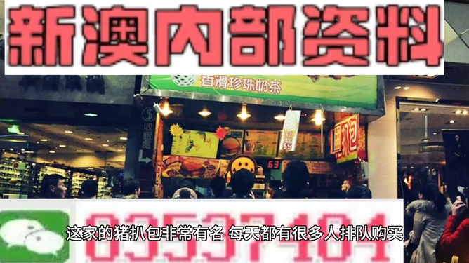 新奧天天精準(zhǔn)資料大全，探索與洞察，新奧天天精準(zhǔn)資料大全，探索與洞察的洞察