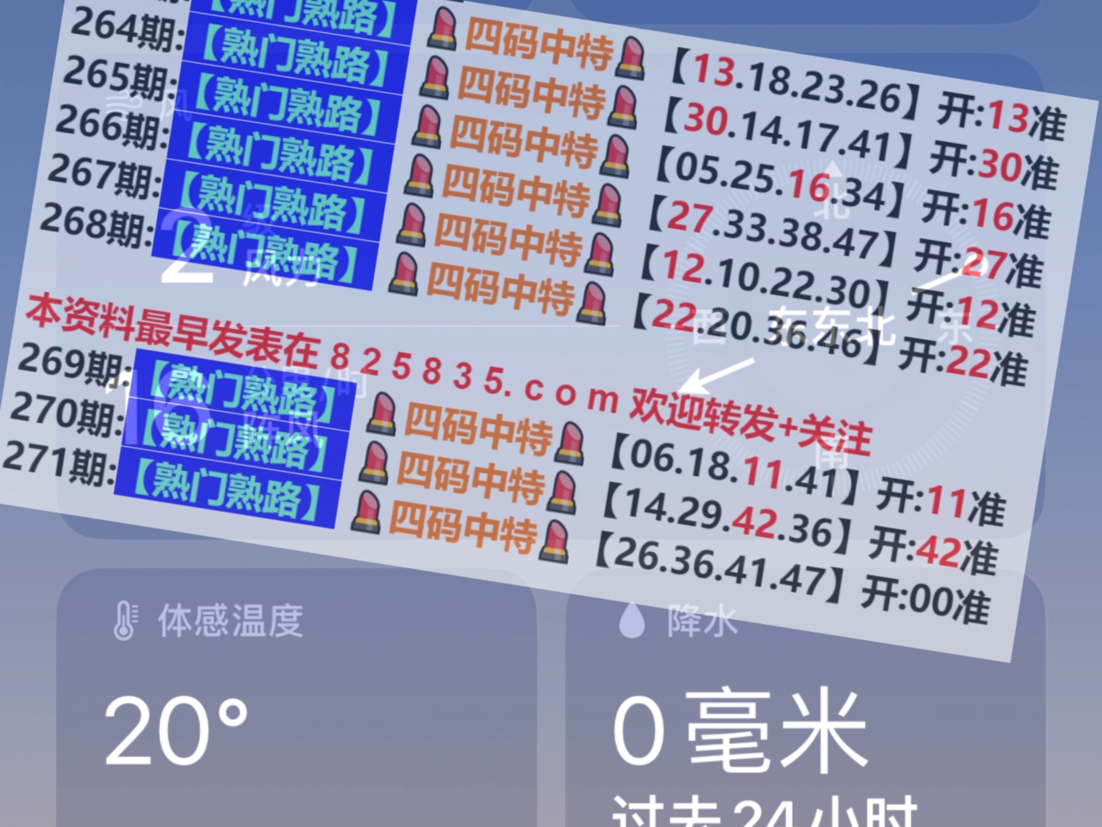 新2024澳門(mén)兔費(fèi)資料，探索與期待，探索與期待，新2024澳門(mén)兔費(fèi)資料揭秘