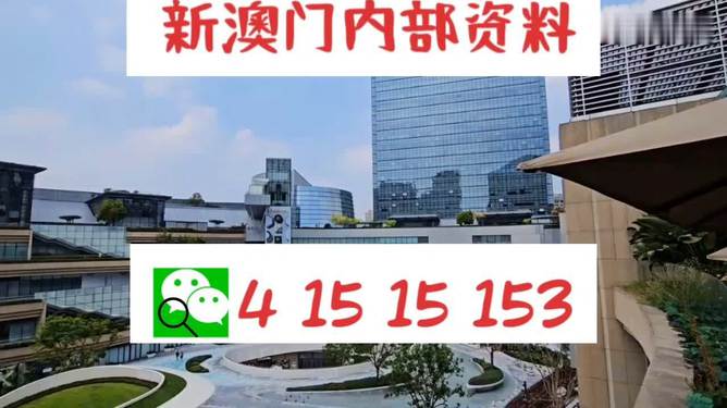 新澳門單雙王，游戲魅力與策略探討，澳門單雙王游戲魅力與策略解析