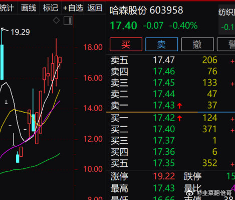 哈森股份上漲原因深度解析，哈森股份上漲原因深度探究