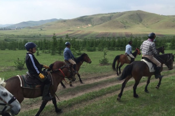 澳門特馬今晚開獎，探尋彩票背后的故事與期待，澳門特馬今晚開獎，探尋彩票背后的故事與期待之夜