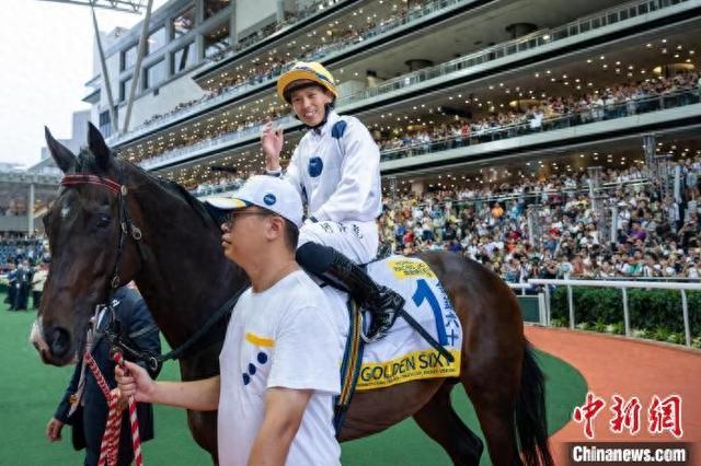 香港特馬王資料免費(fèi)公開，深度解析與探索，香港特馬王資料深度解析與探索，免費(fèi)公開揭秘