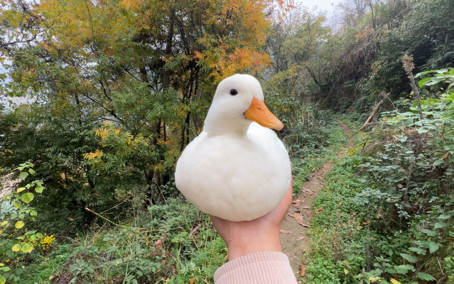 深度體驗